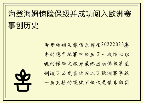 海登海姆惊险保级并成功闯入欧洲赛事创历史